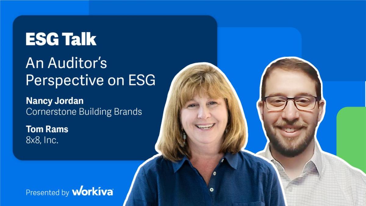 ESG Talk: An auditors perspective on ESG. 