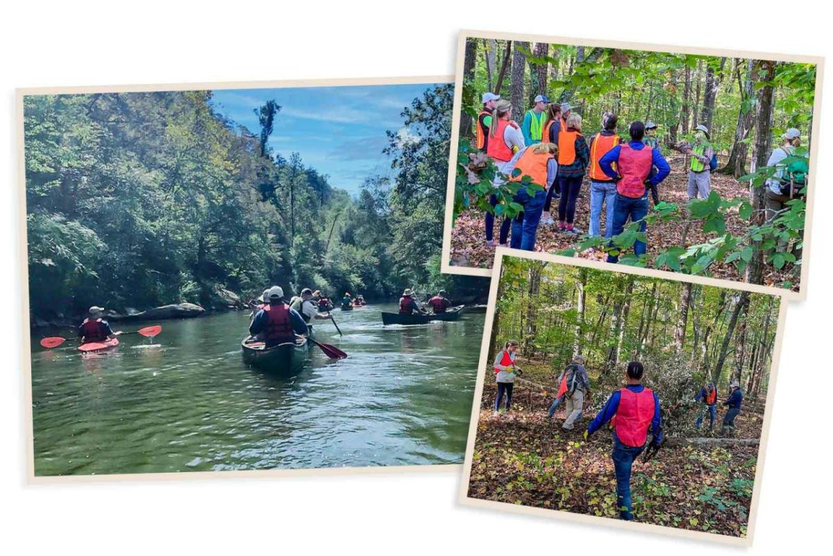 collage of people kayaking 