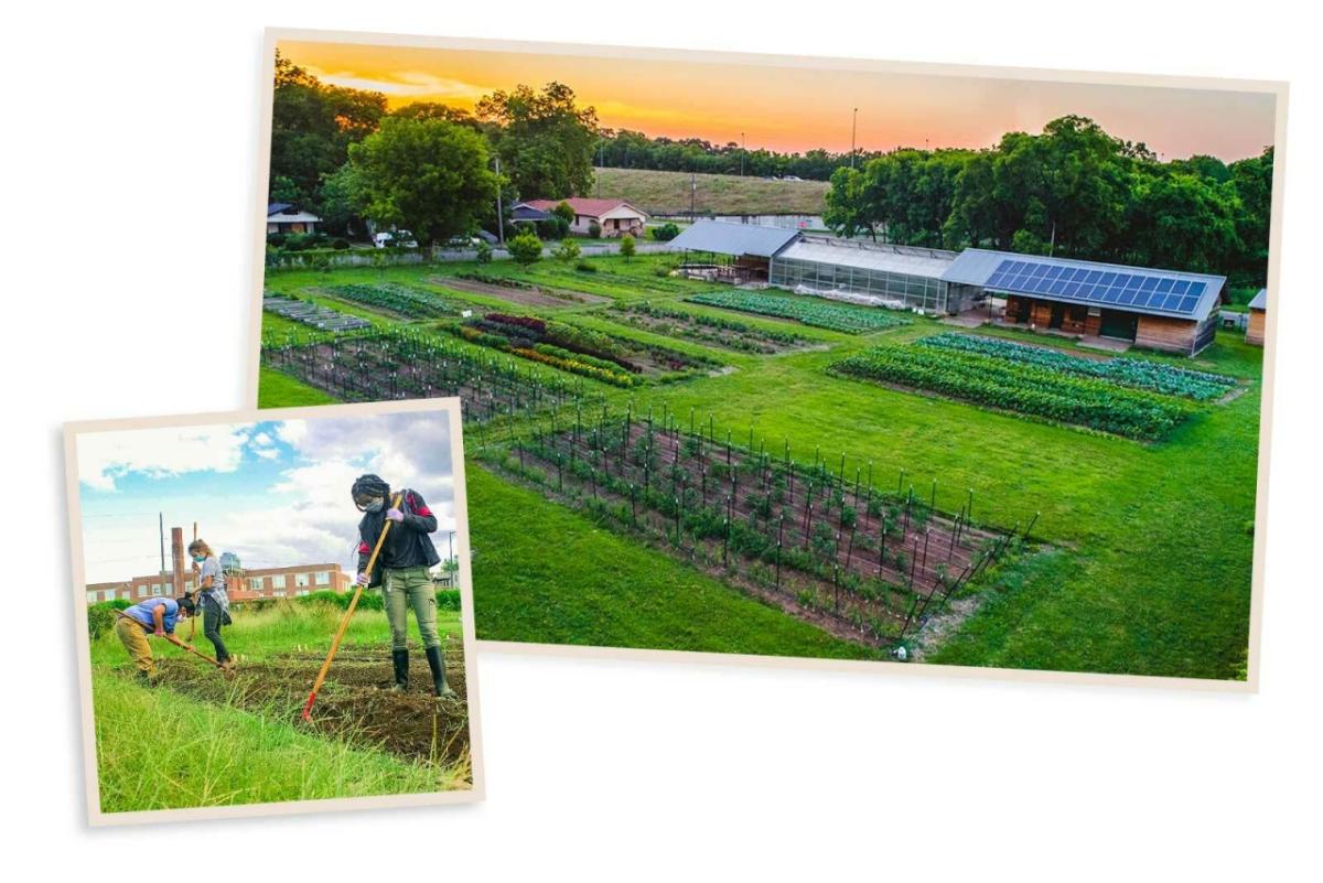 collage of people farming