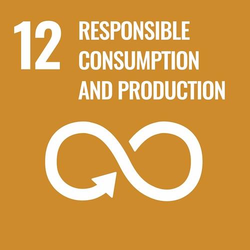 UN SDG Goal 12: Responsible Production & Consumption