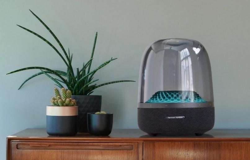 HARMAN speaker shown next to a cactus.