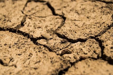 Cracked and dry soil.