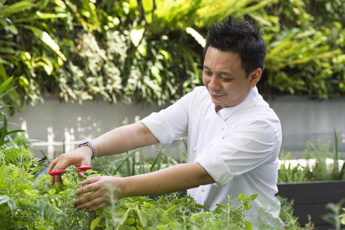 The herb garden at RISE Restaurant, Marina Bay Sands