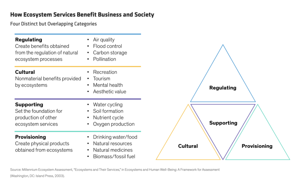 How Ecosystem Services Benefit Business and Society infographic 