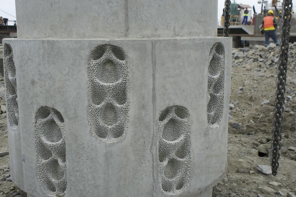 Living Seawalls Panel at DP World's Posorja terminal in Ecuador
