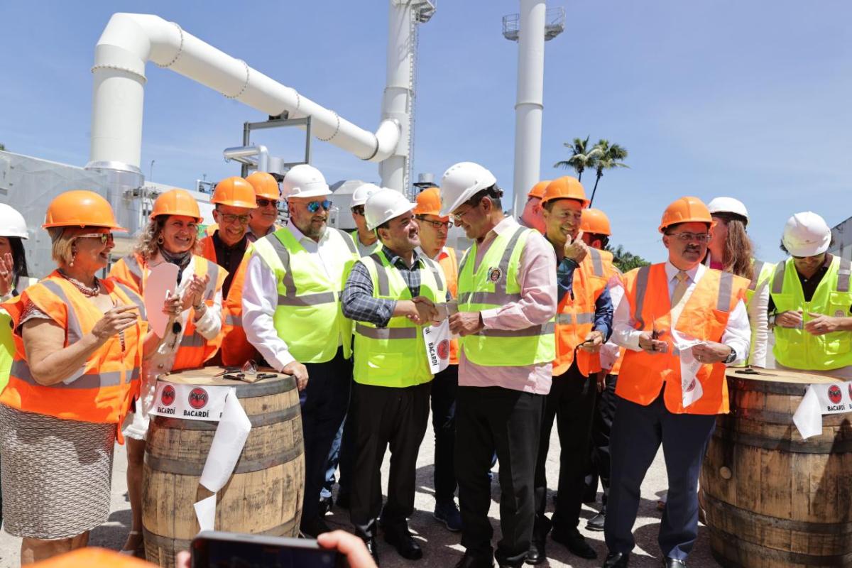 Workers in hi-visibility vests at Bacardi rum distillery