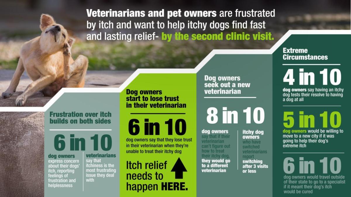 elanco Itchy dog report infographic 