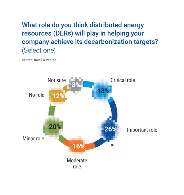 Chart showing what role do you think distributed energy resources will play in helping a company achieve its decarbonization targets.
