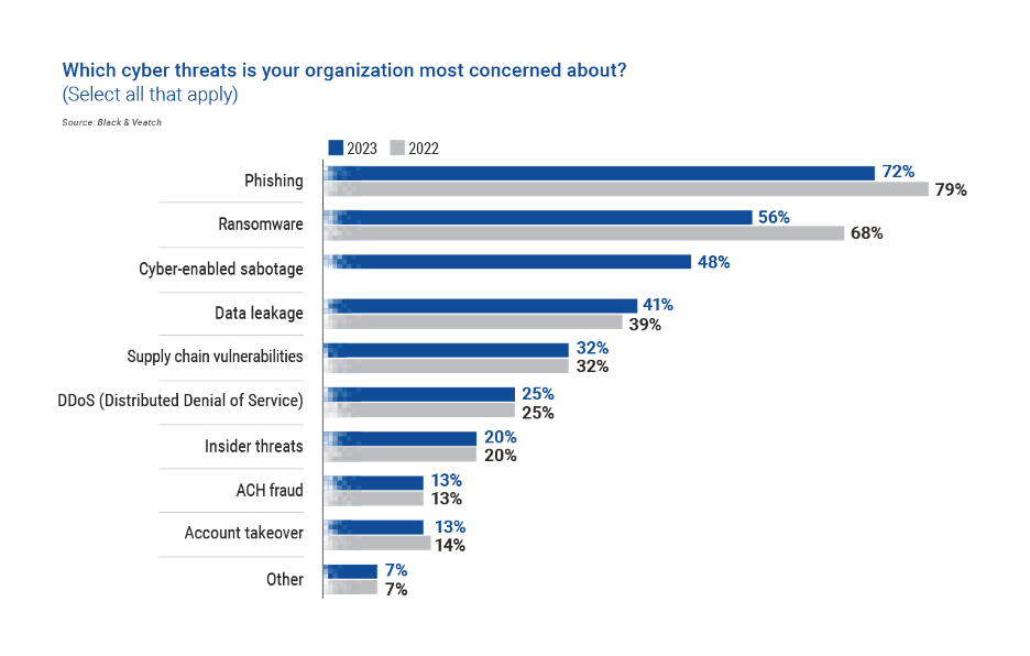 Chart showing which cyber threats is your organization most concerned about?