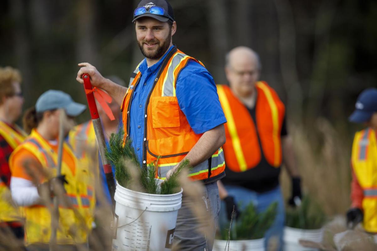 Rayonier employee planting 