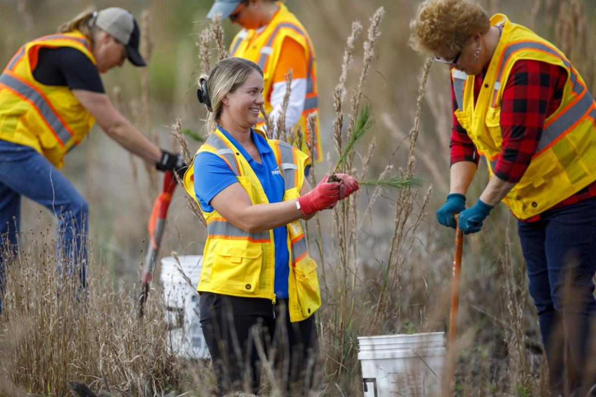 Rayonier employees planting 