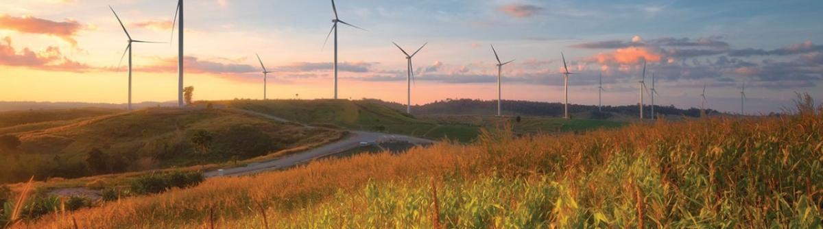 wind turbines in skyline