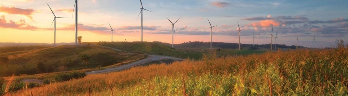 wind turbines in skyline 