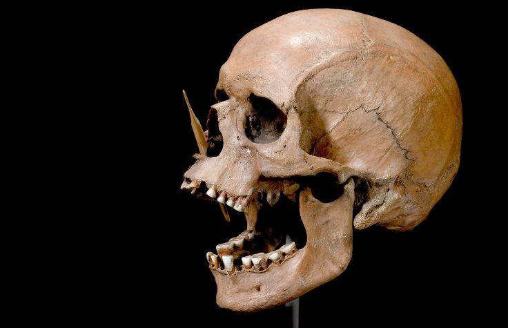 The Porsmose man from the Neolithic period, found in 1947 in Porsmose, Denmark. | Photo: The Danish National Museum " "