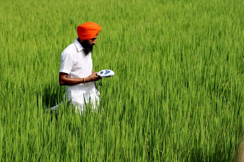 Technology can be used to help farmers produce good crops. (Photo courtesy TheConversation.com)