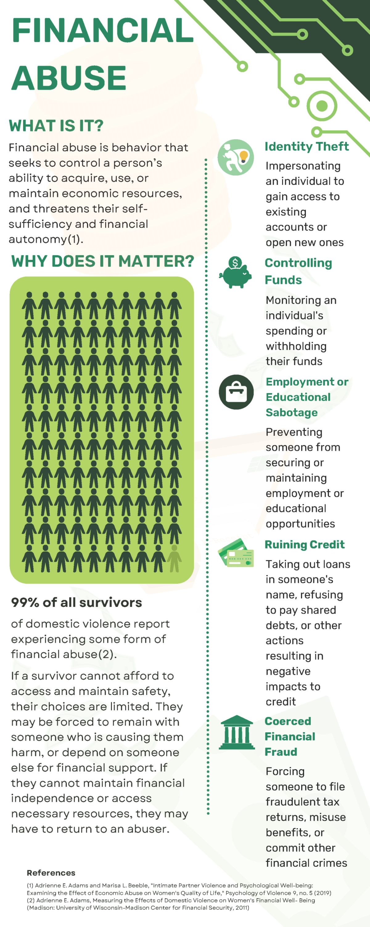 Infographic showing 10 crucial tips to help survivors safeguard their financial information online.