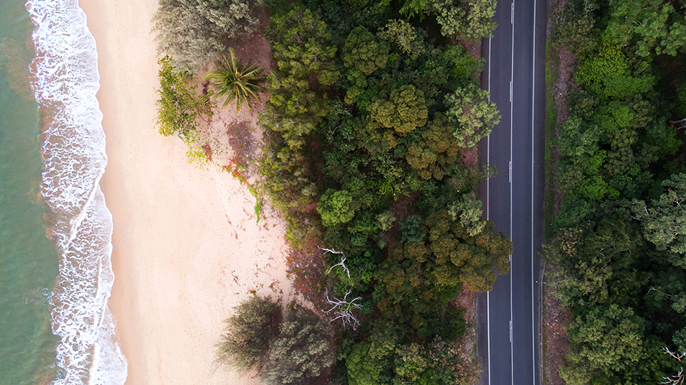 Forest road on beach