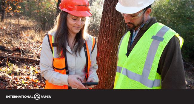 By 2030, International Paper hopes to source all of its fiber from sustainably managed forests. COURTESY NEIL JOHNSON | INTERNATIONAL PAPER