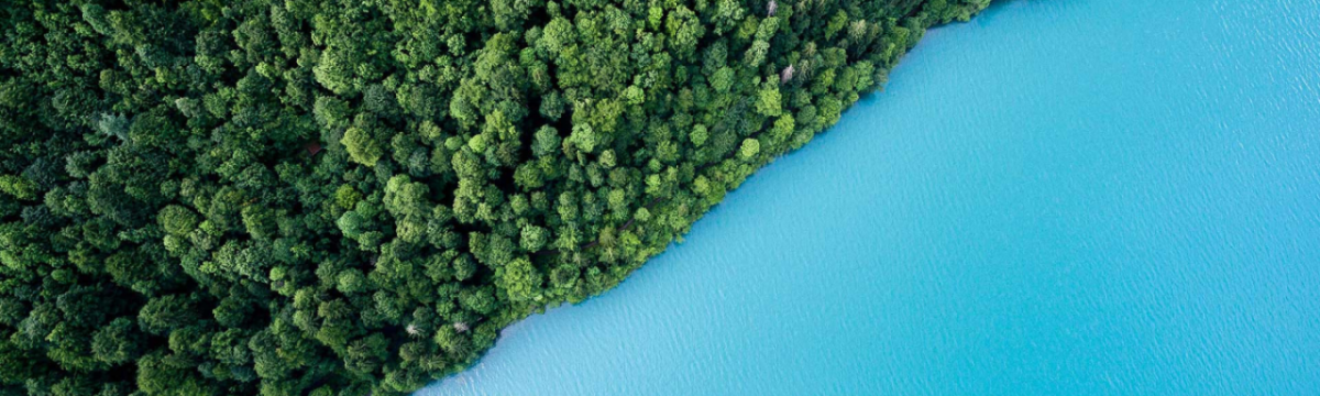 aerial view of heavily forested land with sharp change to expanse of water