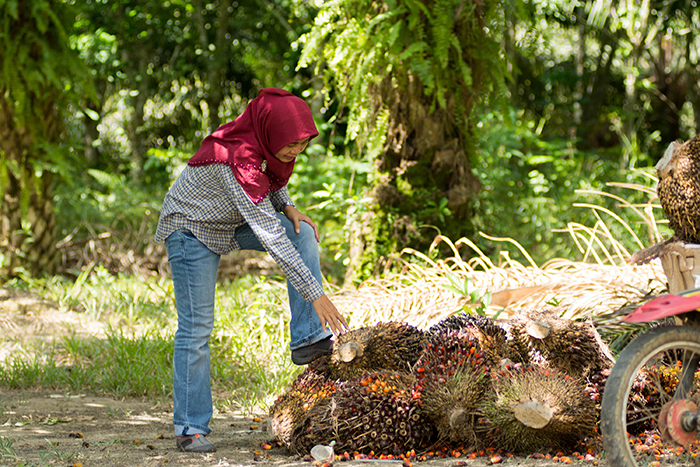 Person examining nature in forest