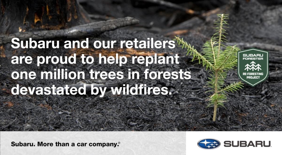 Banner image with tree sapling reading, "Subaru and our retailers are proud to help replant one million trees in forests devastated by wildfires."