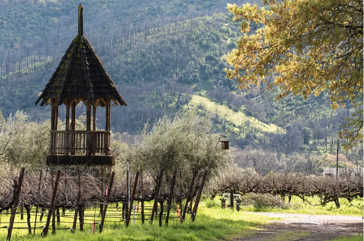 Frey Vineyards in Northern California