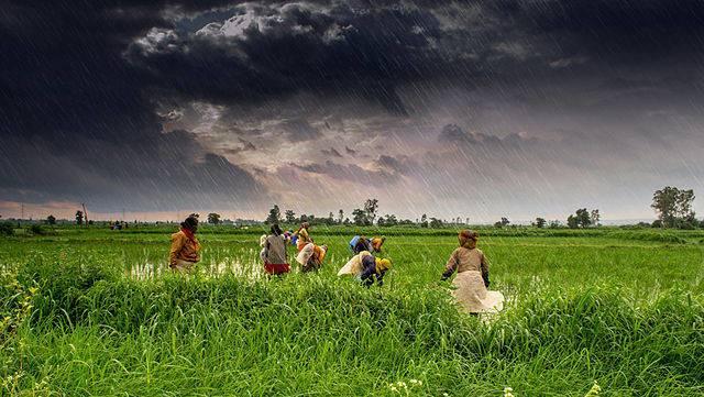 From rural farming programs to public health, more NGOs find they need to find new ways to measure impact