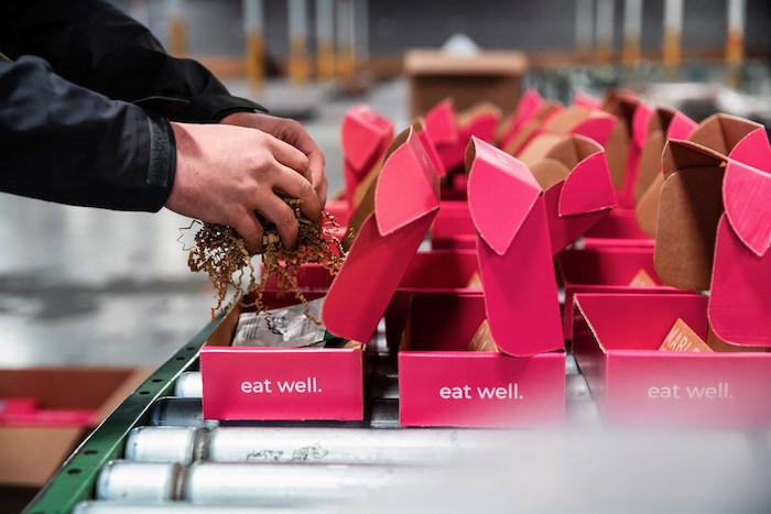 Ian Morris, wellbox; Man packing multiple red boxes.