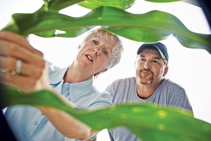 Betsy Bower of Ceres Solutions advises a corn farmer in Indiana. Credit: Ceres Solutions