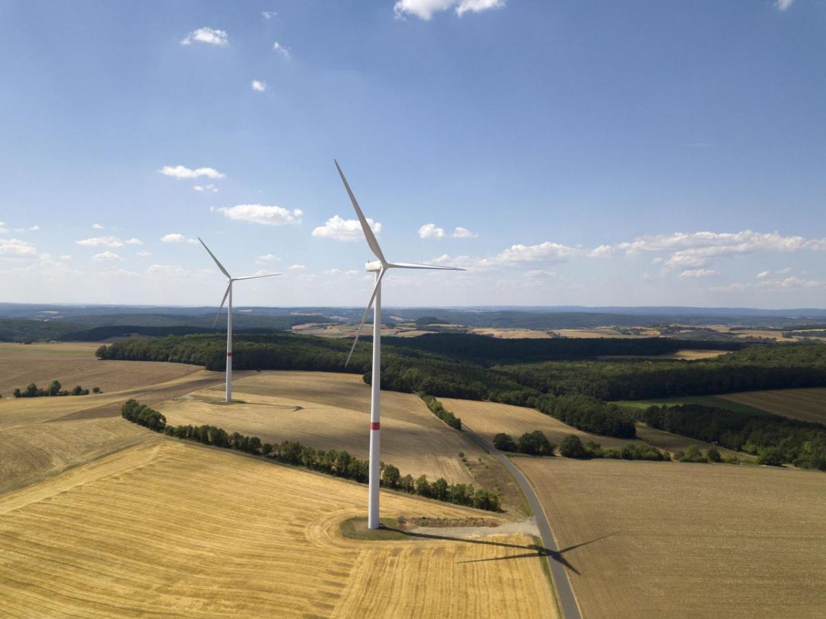 Wind turbines in a field 