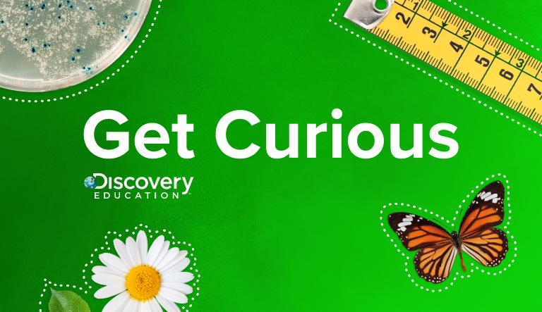 "Get Curious" with a green background, butterfly, flower, and tape measure 