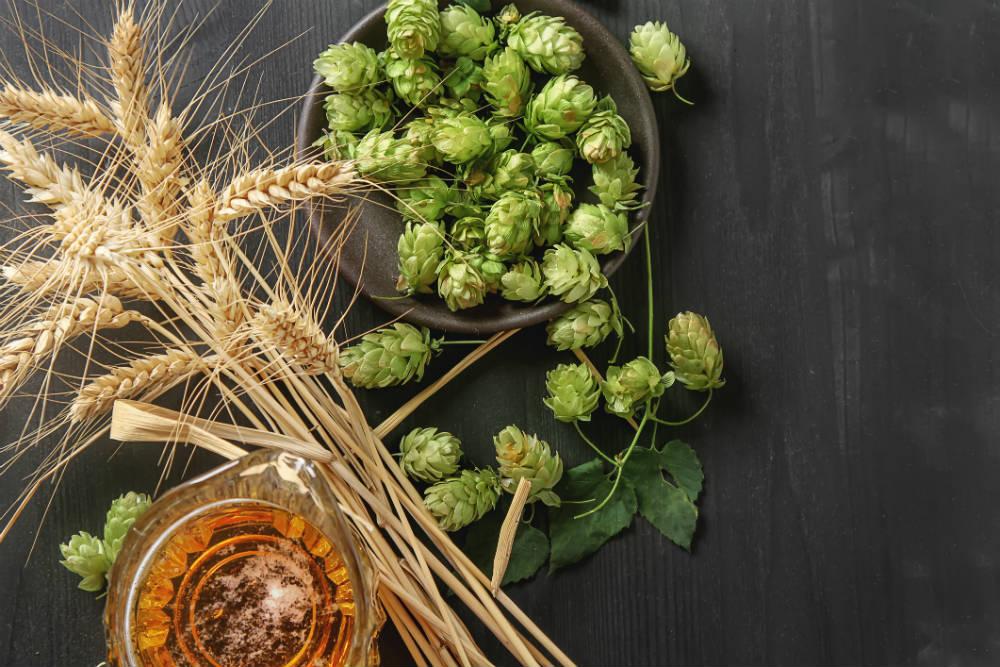 BIER Experts Help EU Commission Develop Beer PEFCR