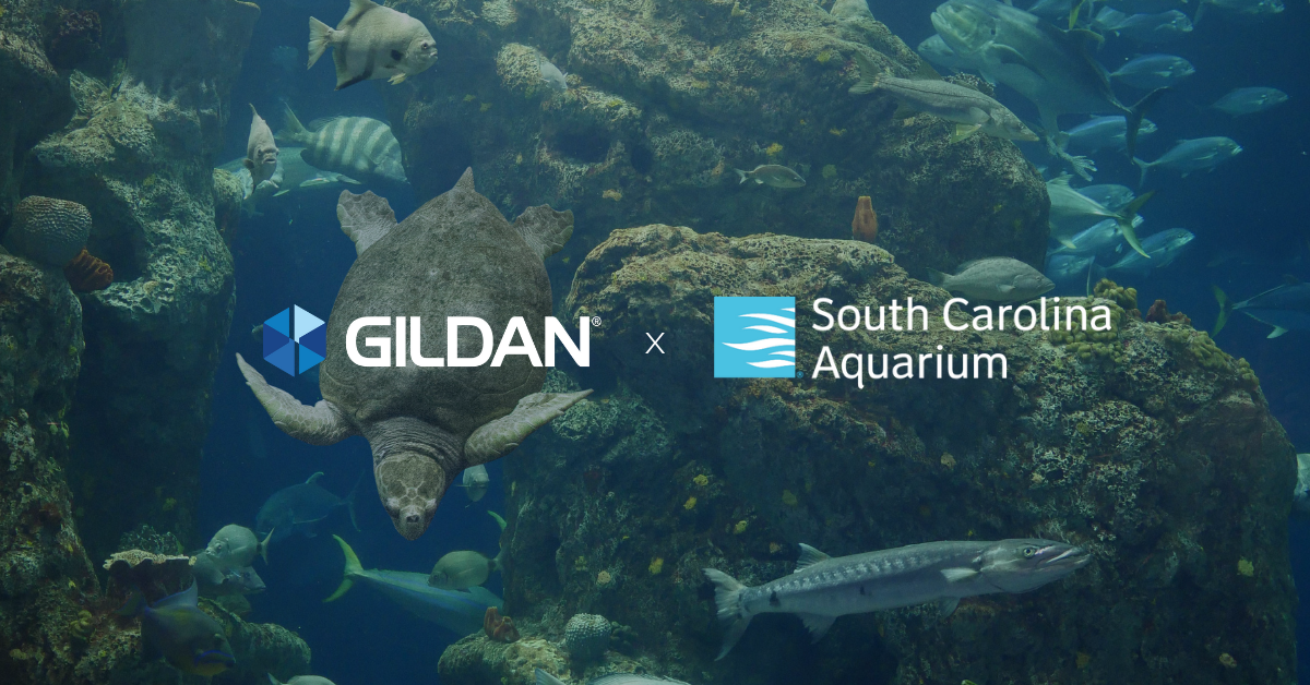 "Gildan + South Carolina Aquarium" written on a dark aquarium backdrop