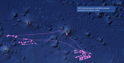 The satellite track, shown in pink, of a fishing vessel that caught some of the tuna used to make sushi at Albertsons Companies. This vessel was fishing in Micronesian waters and returned to the same port it originated from. This map was generated in Global Fishing Watch using information provided by our sushi vendors. Vessel identifying information has been removed to respect confidentiality of our sushi vendors’ supply chains. The satellite track of a fishing vessel that caught some of the tuna used to make sushi at Albertsons Companies