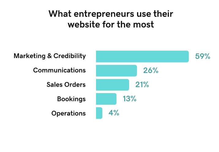 What entrepreneurs use their website for the most.