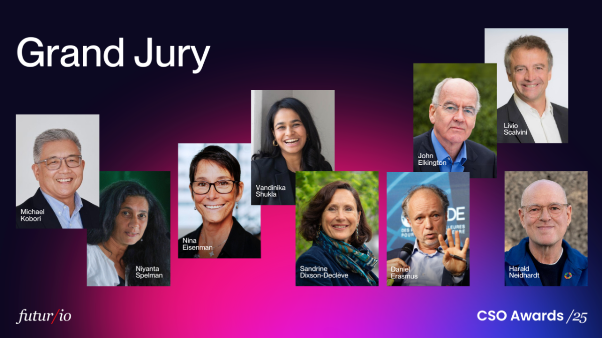 Grand Jury members of the CSO Awards /25