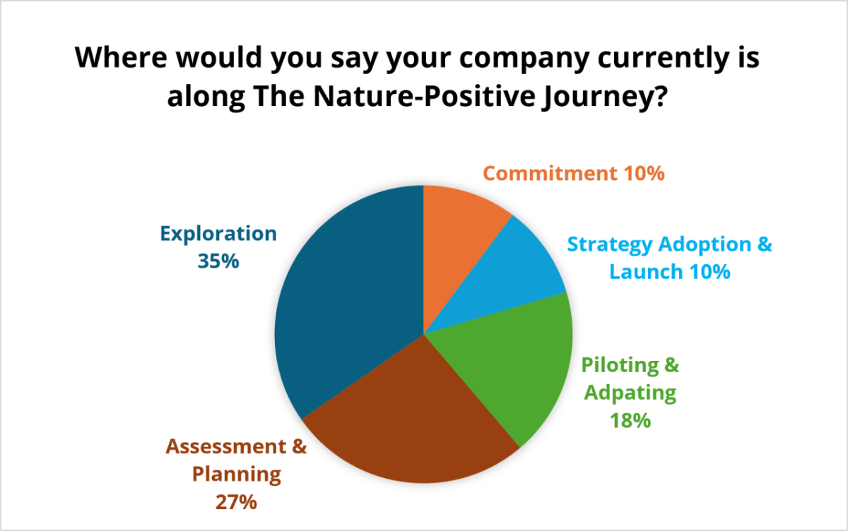 Pie chart showing responses to the question "Where would you say your company currently is along The Nature-Positive Journey?"