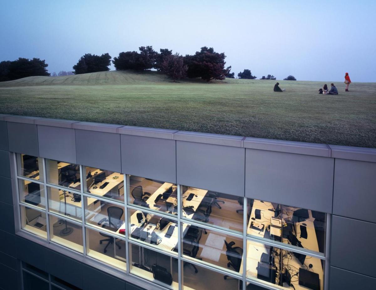 Grass roof office