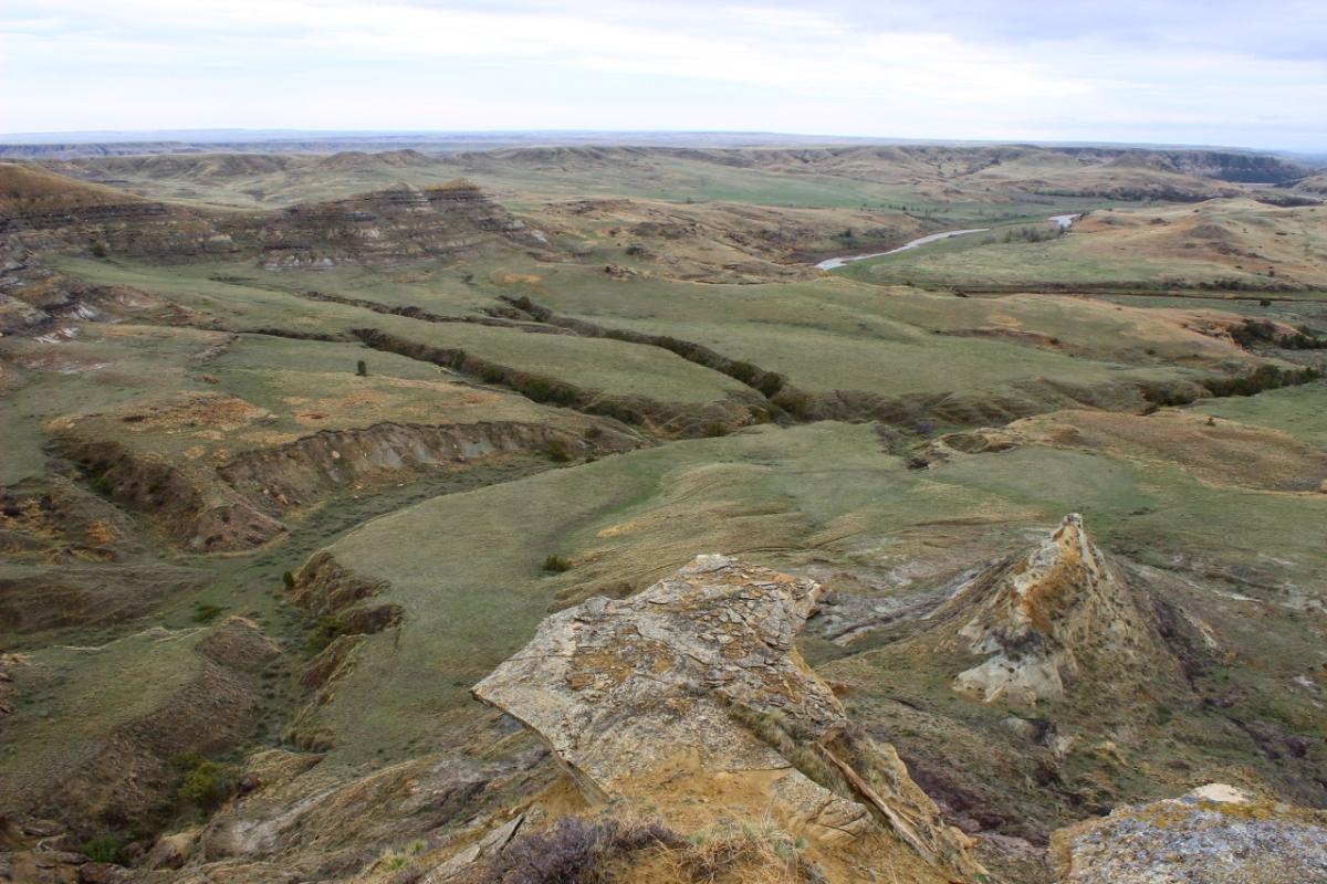 grasslands in Montana