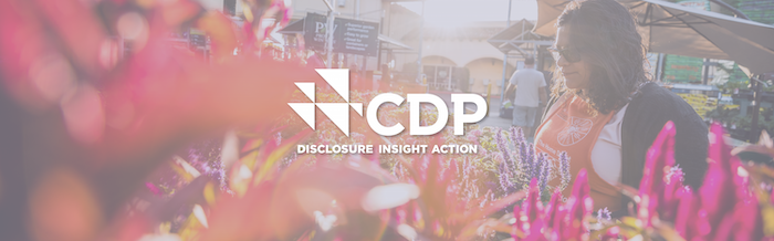 CDP: Disclosure, Insight and Action. Female in Home Depot apron is standing by a floral display.