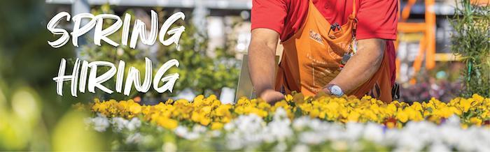 Spring Hiring: Male Home Depot employee is arranging flowers on a display.