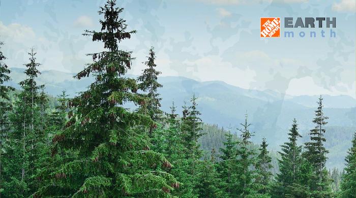 Illustration of a forest with Home Depot logo and Earth Month.