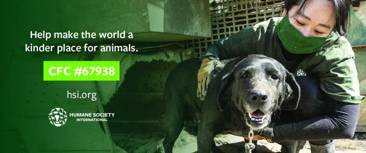 "Help make the world a kinder place for animals" with image of person holding a dog