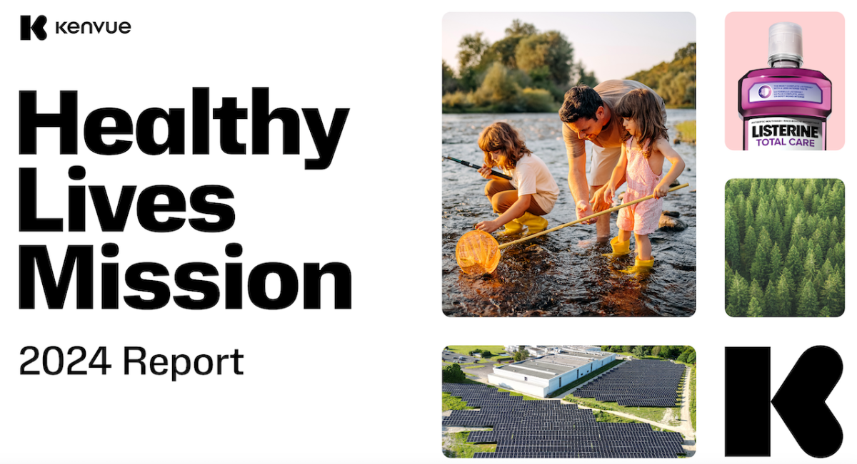 Healthy Lives Mission 2024 Report