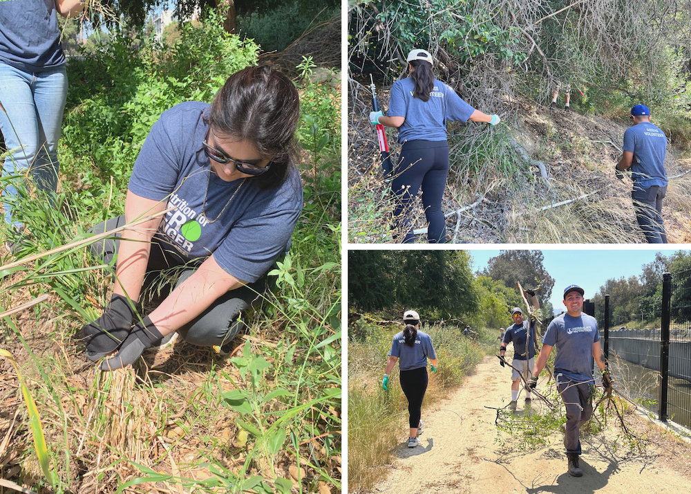 Collage of employees cleaning up nature trail