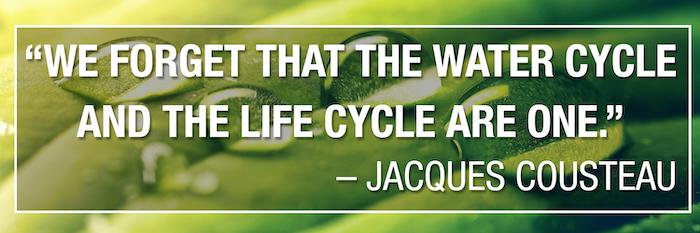 We Forget that the water cycle and the life cycle are one. Jacques Cousteau