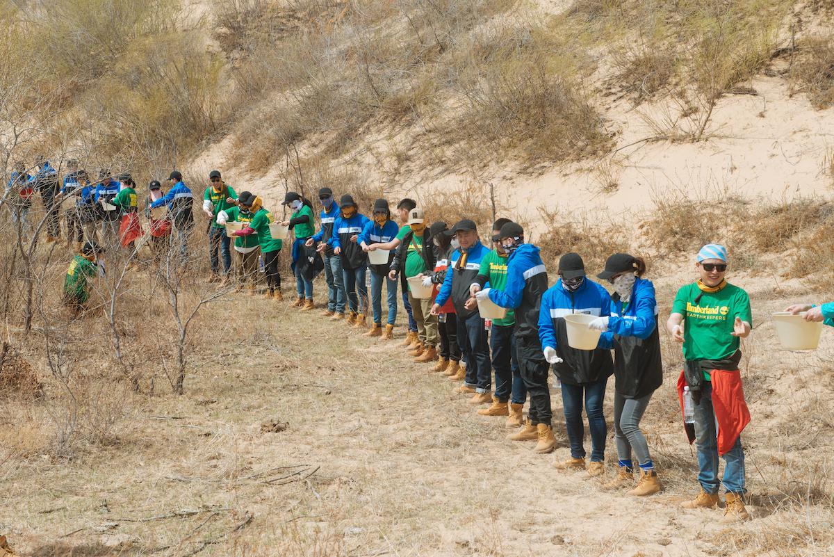 Timberland Commits to Plant 50 Million Trees over Five Years