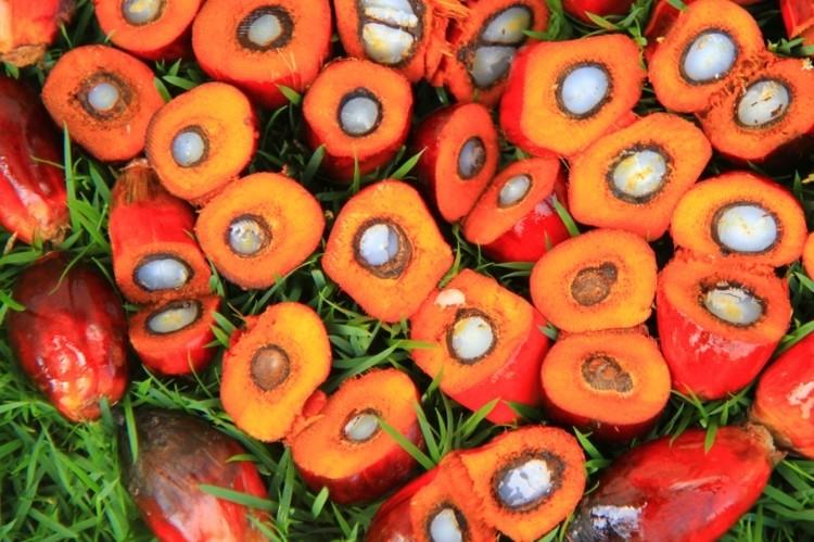 Image courtesy of foodnavigator.com