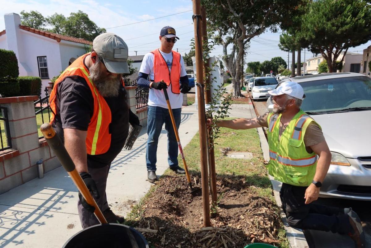 In collaboration with TreePeople, AEG employees gathered at Huntington Park for a morning of urban forestry.