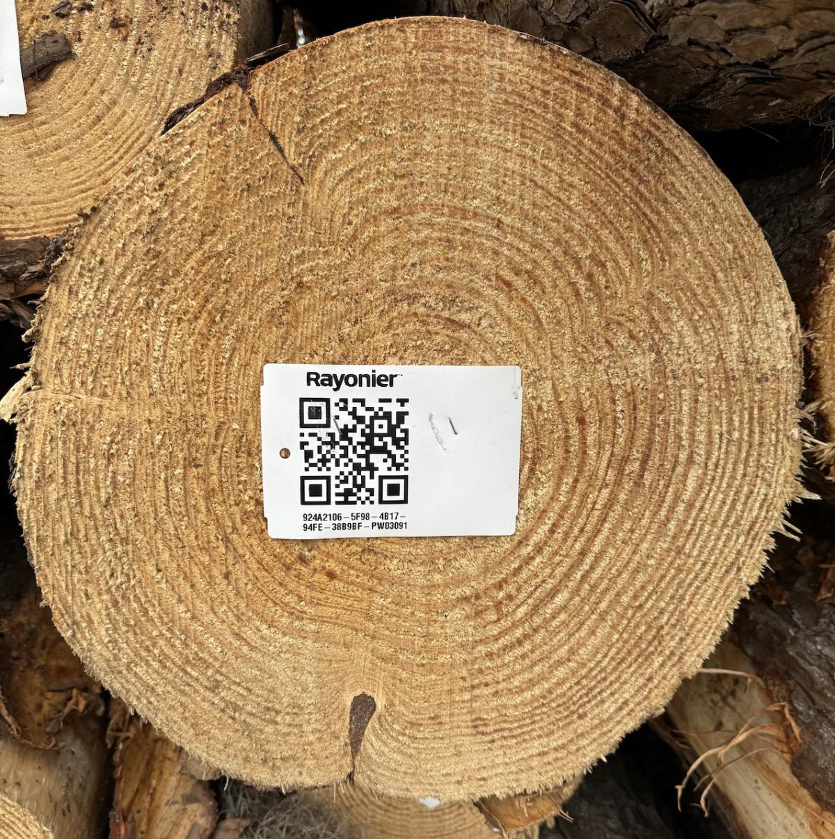photo of the QR code on a log